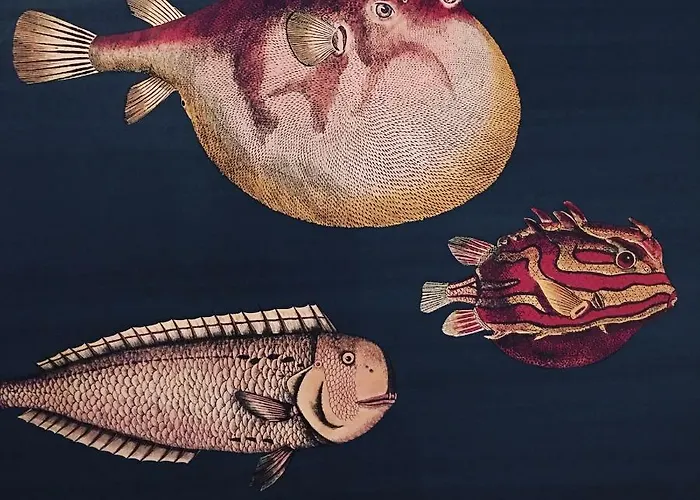 克色图里国卡乡村民宿 *