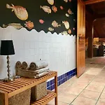 Txerturi-goikoa