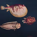 Txerturi-goikoa *